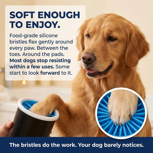 LunorNest Clean Paw System
