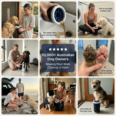 LunorNest Clean Paw System