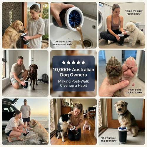 LunorNest Clean Paw System